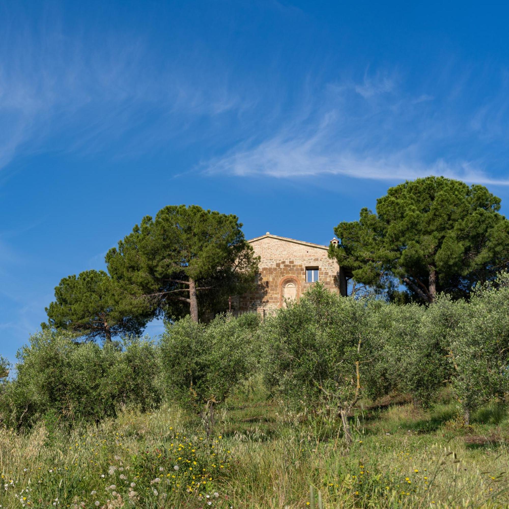 Torrevista Aparthotel Montaione Rom bilde